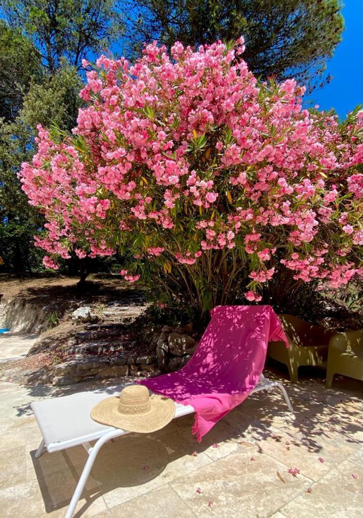 La Bastide Blanche Magnifique Villa 5 Etoiles 5 Chambres Et Piscine Privee Sur 6500 M Var Lorgues Εξωτερικό φωτογραφία